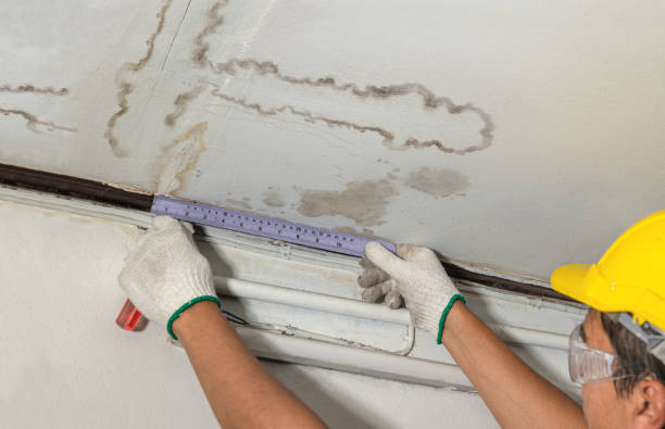 Reliable Flood Cleanup contractor in Quincy, MI by Water Damage Irwin
